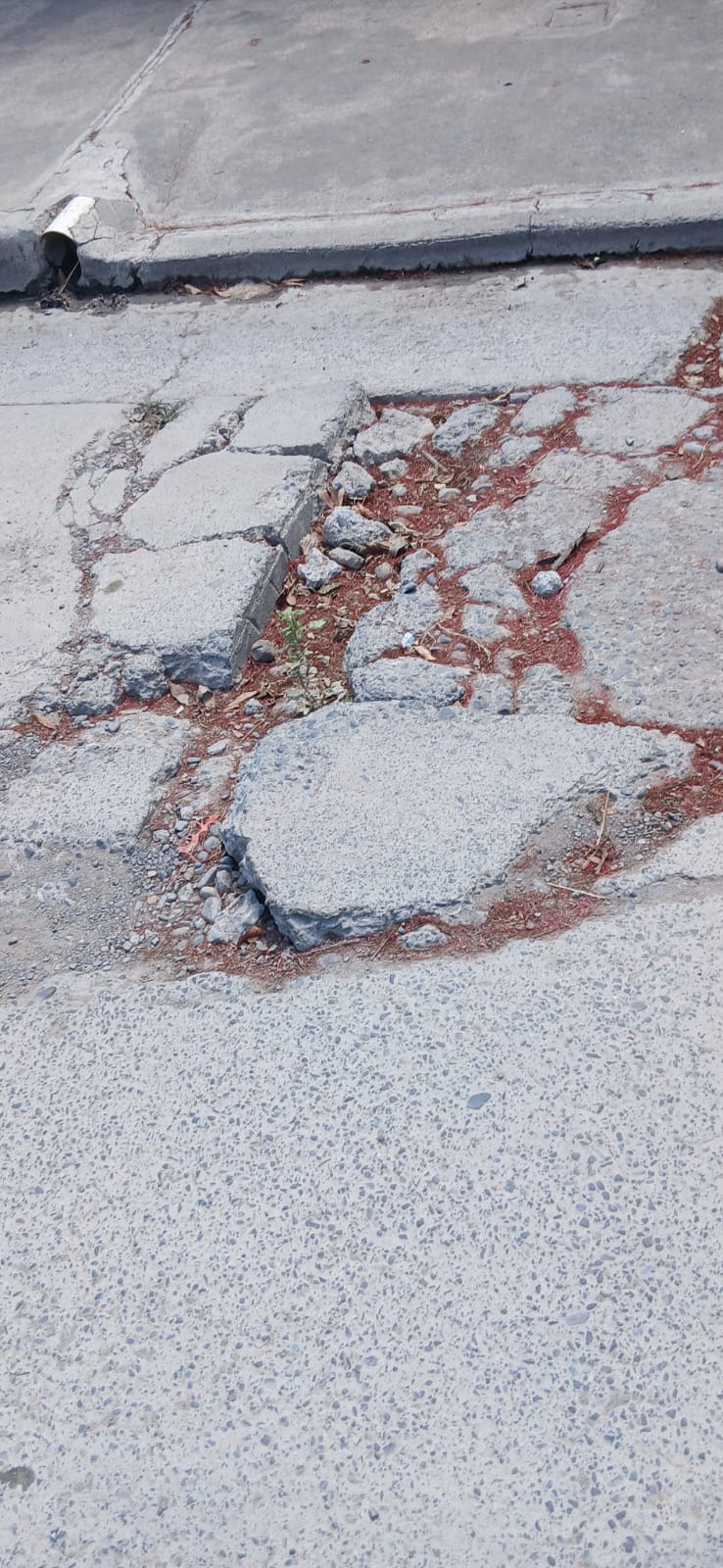 Foto de reporte público