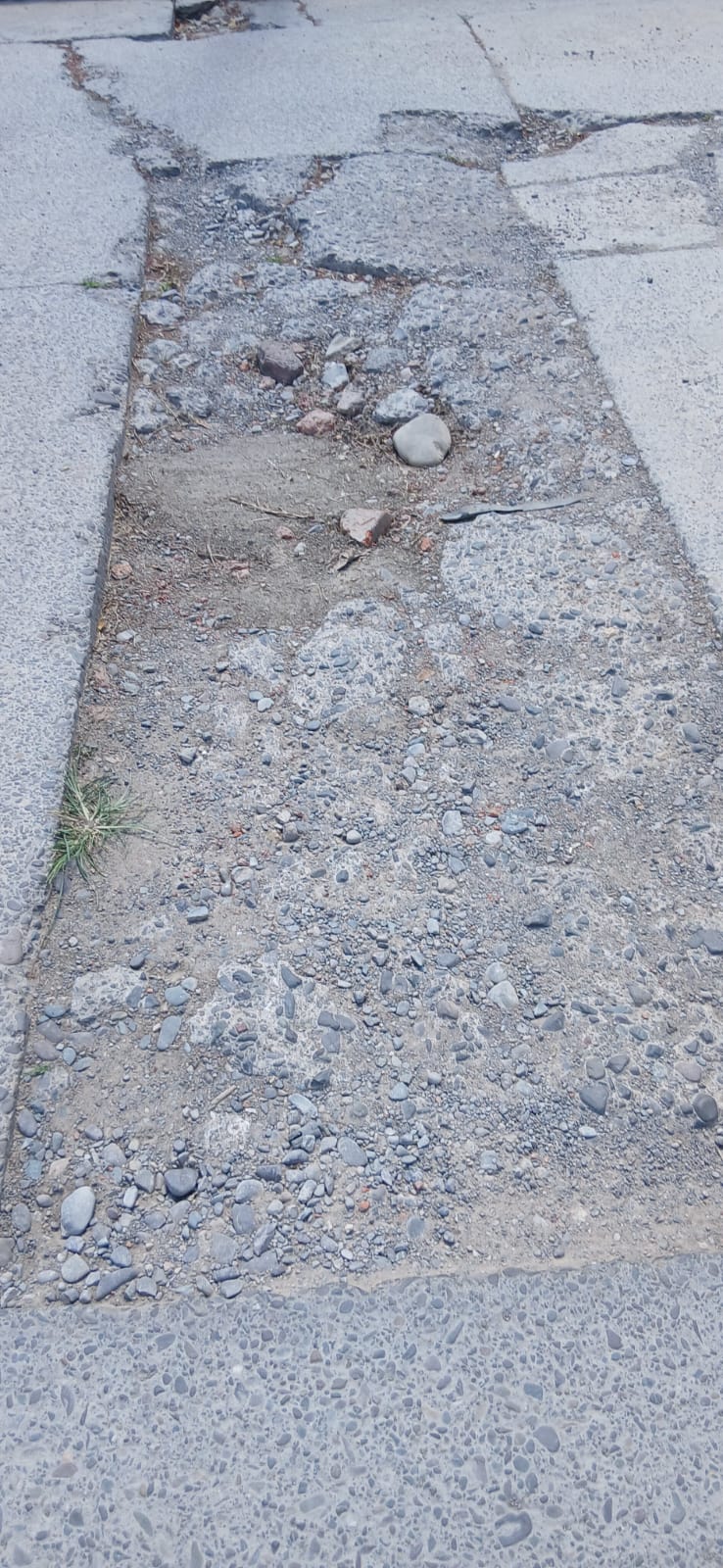 Foto de reporte público